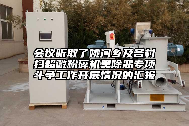 会议听取了姚河乡及各村扫香蕉视频网站免费观视频黑除恶专项斗争工作开展情况的汇报