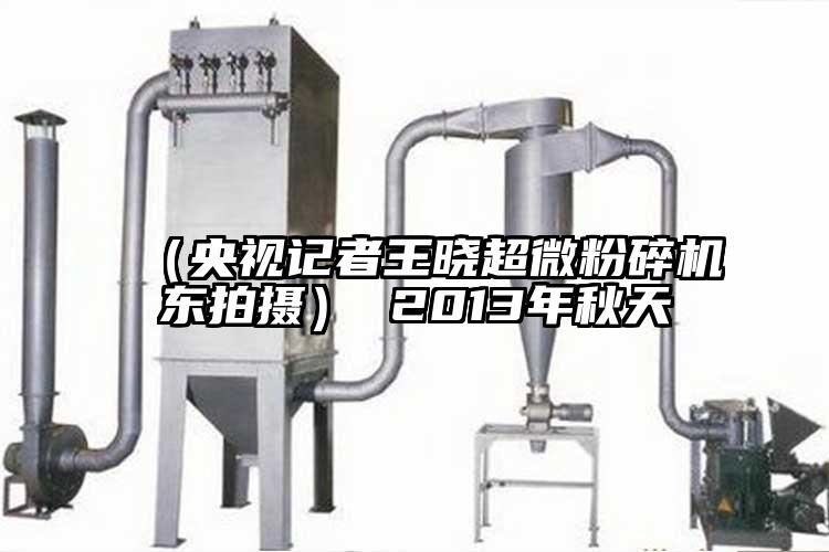 （央视记者王晓香蕉视频网站免费观视频东拍摄） 2013年秋天
