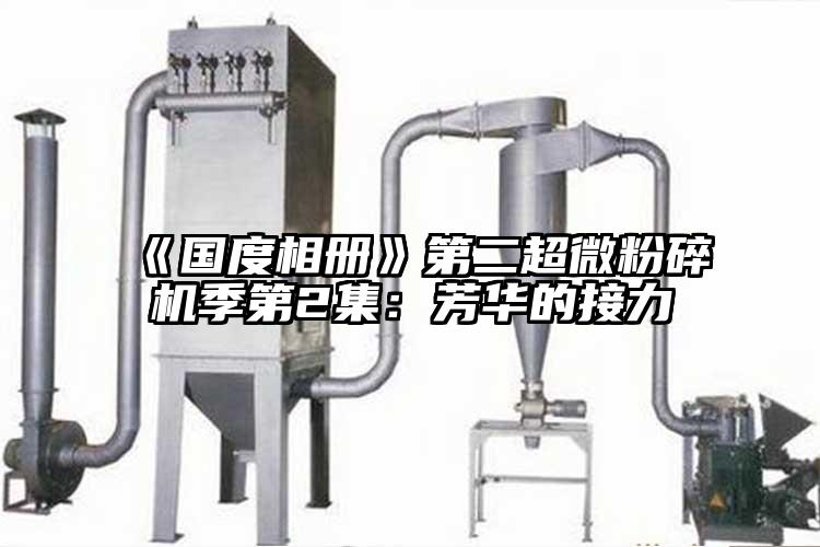 《国度相册》第二香蕉视频网站免费观视频季第2集：芳华的接力