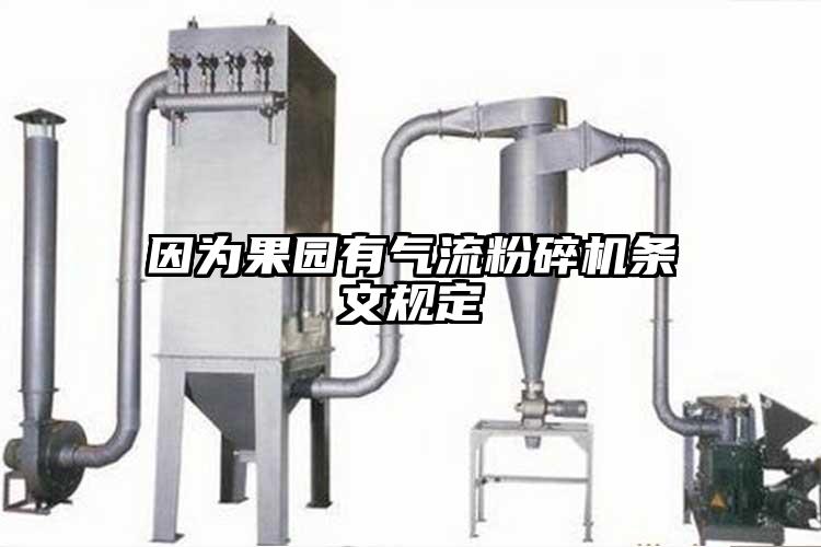 因为果园有香蕉视频破解版条文规定