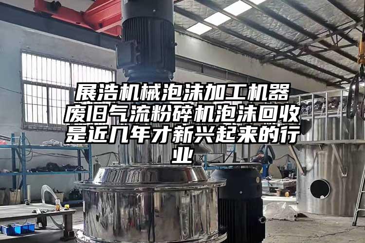  展浩机械泡沫加工机器 废旧香蕉视频破解版泡沫回收是近几年才新兴起来的行业